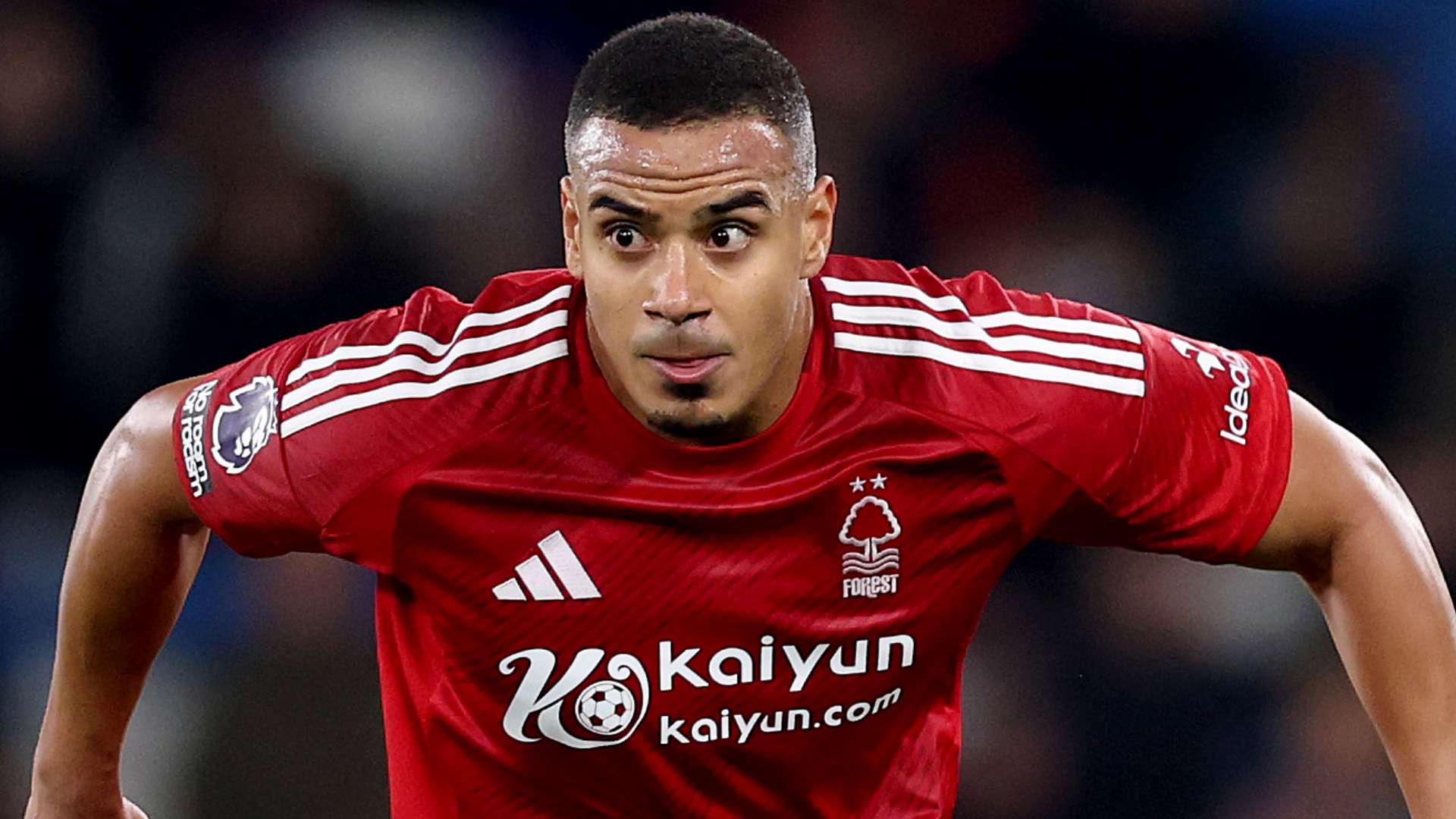 得了显著的 得了显著的